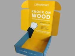 Custom Ear Lock Mailer Boxes