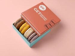 Custom Macaron Boxes