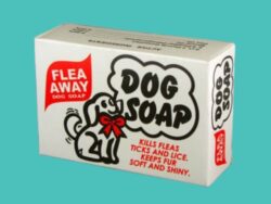 Dog Soap Box