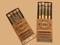 Cannabis Cigarette Boxes