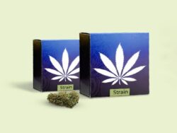 Marijuana Boxes