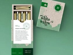 CBD Pre Roll Boxes