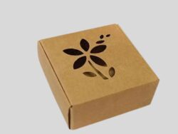 Die Cut Kraft Boxes