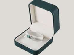 Premium Bracelet Boxes