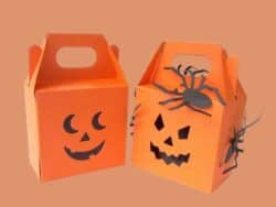 Halloween Boxes
