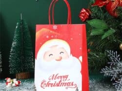 Christmas Paper Bags