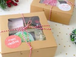 Christmas Treat Boxes